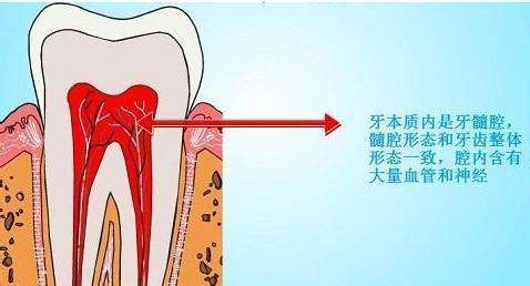 牙齿过敏，冷热酸甜硬都不敢碰，怎么办？